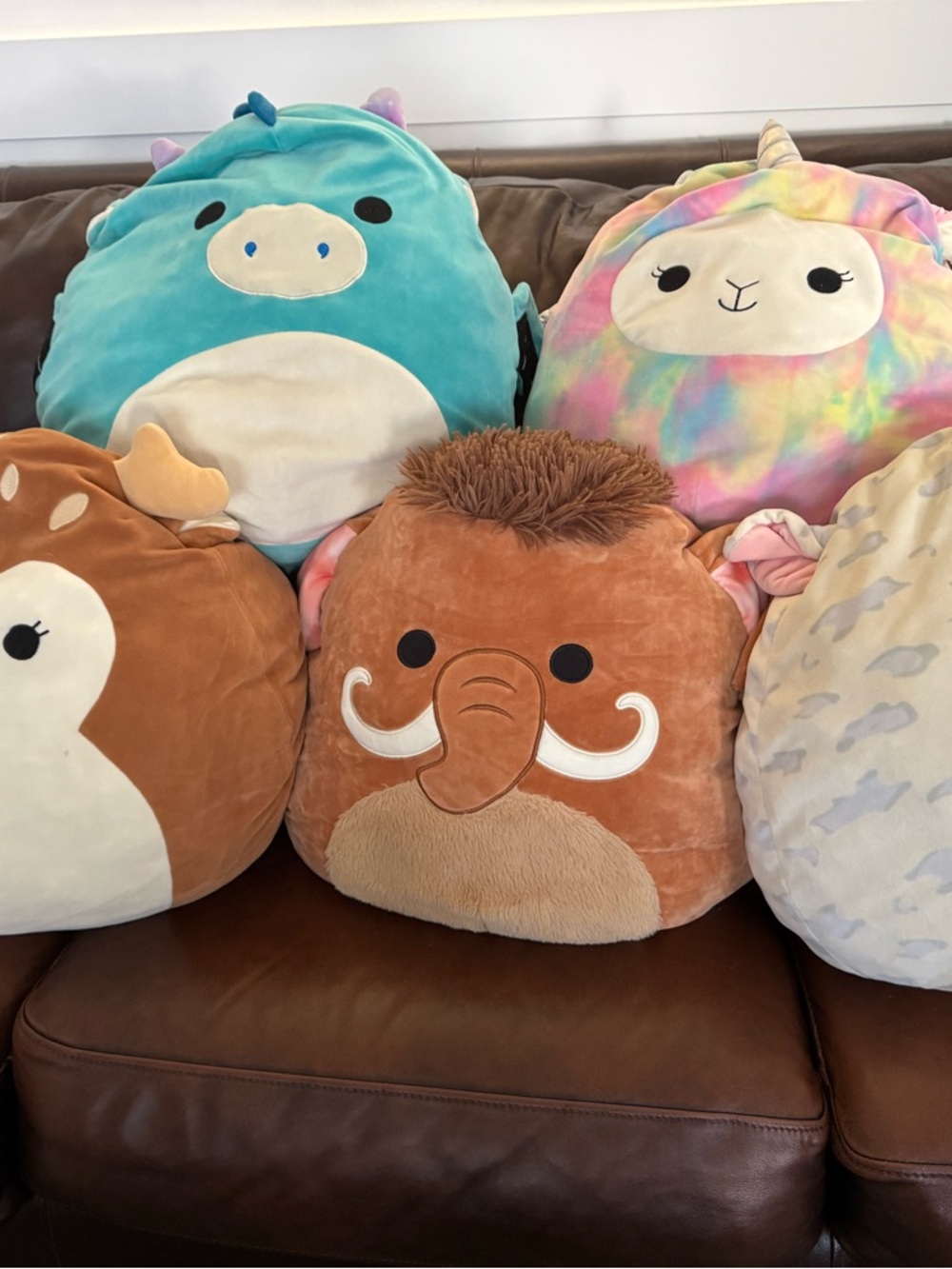 Squishmallows Teal, Tie-Dye, Brown Mammoth & Friends Plush Lot